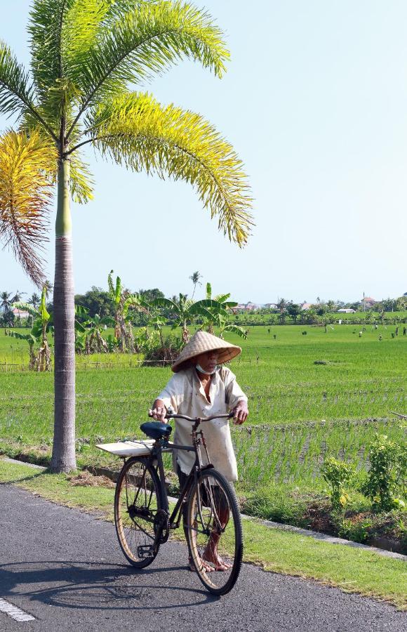 Tamu Seseh Villa ชังกู ภายนอก รูปภาพ
