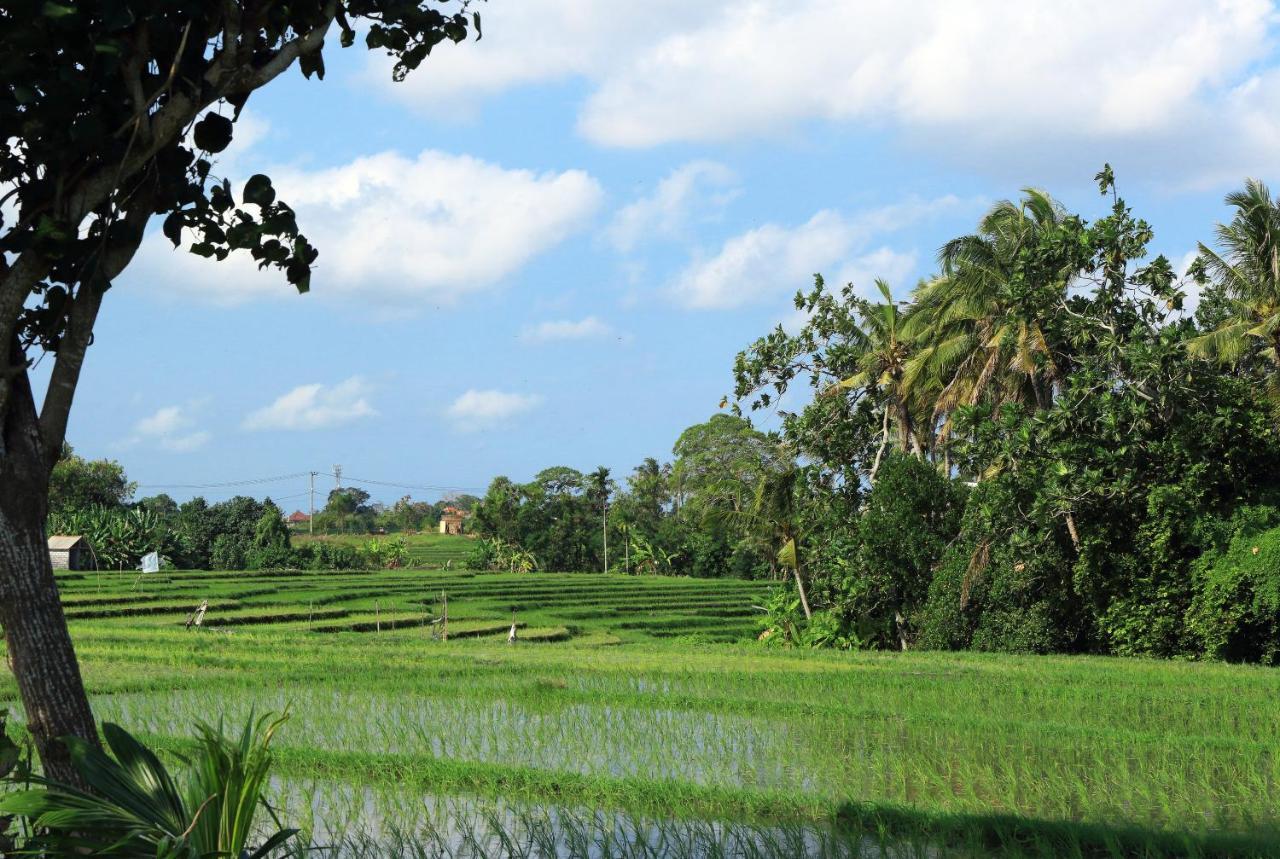 Tamu Seseh Villa ชังกู ภายนอก รูปภาพ